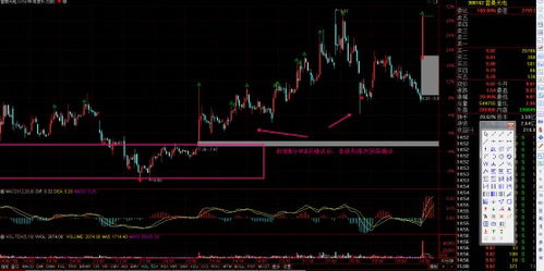 雷曼光電 深耕LED顯示領域，COB技術引領光電科技新浪潮